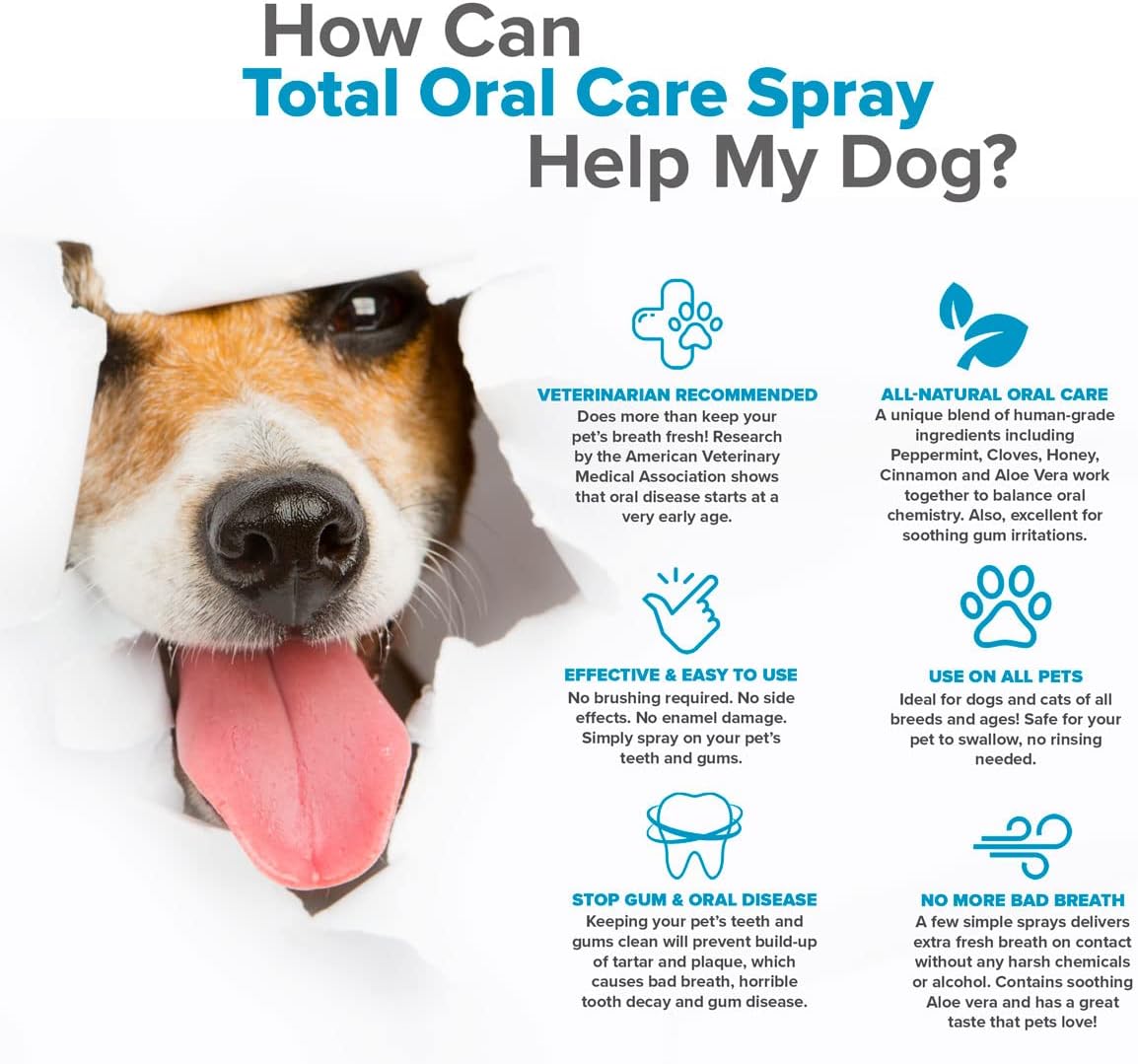 What Causes Extremely Bad Breath In Dogs