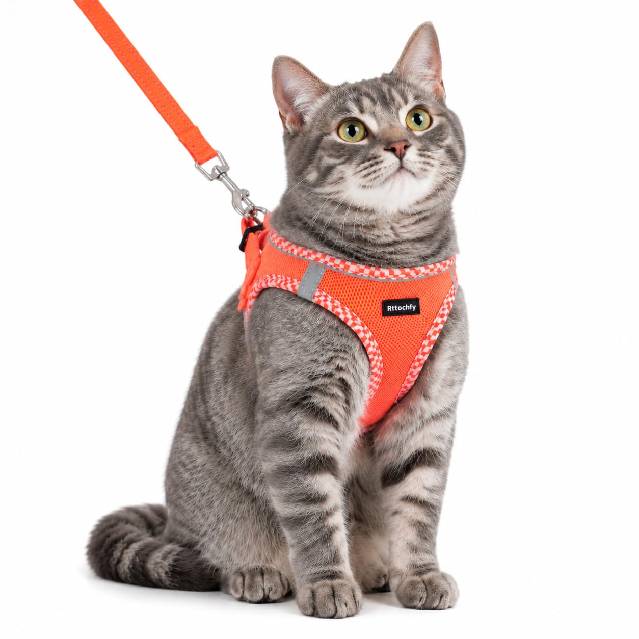 Rttochfy Juego de arnés y Correa para Gatos, arnés para Gatitos a Prueba de Escapes, Chaleco Suave y Transpirable con Tira Reflectante, fácil de Llevar para Que los Gatos caminen y viajen (Naranja,