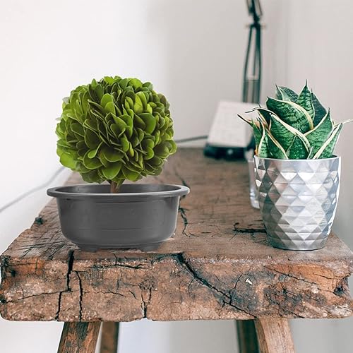 Miniatura 6 de Maceta ovalada grande para bonsái con drenaje para el hogar, oficina, balcón y jardín, maceta decorativa para jardinería vertical y mejoramiento de
