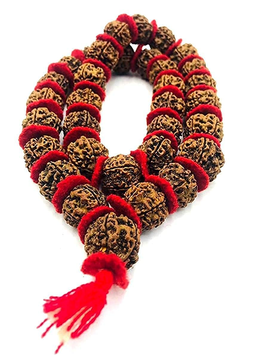 FIRMUS Premium Five Face Rudraksha Kantha | Panch Mukhi Rudraksha Kantha | Mala| Holy & Auspicious 54+1 Nepali Rudraksha Beads Size-20mm Approx (B0BWHWYTYP) Amazon Price History, Amazon Price Tracker
