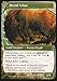 Magic: the Gathering - Dryad Arbor - Future Sight