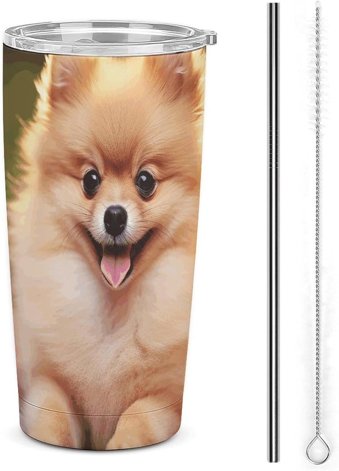 Stainless Steel Tumbler Insulated Short-haired Pomeranian Printed Insulated Cup for Travel Reusable Car Cup