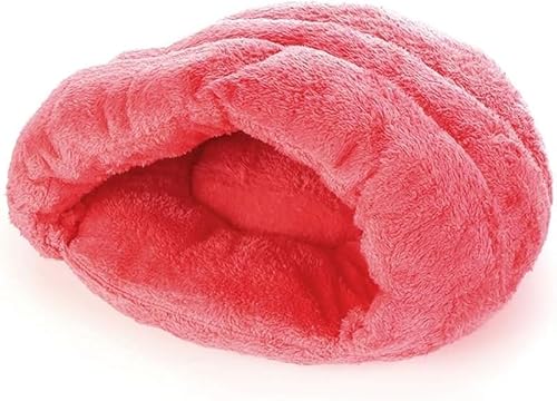 KryZaroybgxbg h[^LA ۉhQ 􂦂ʂ Lp p薰邠nEX St