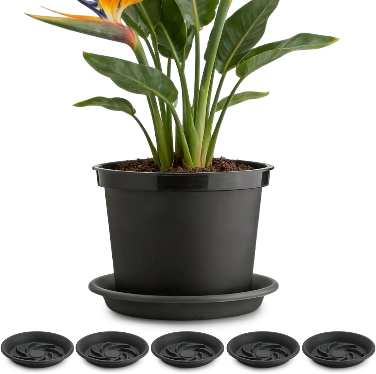 BTPLASTIK Plant Saucer 13 inch 5 Pack, Plant Elevators for Inside Pots, Heavy Duty Flower Planter Drip Trays for Pots, Pot Saucers for Plants, Grow Bags Saucers Gray