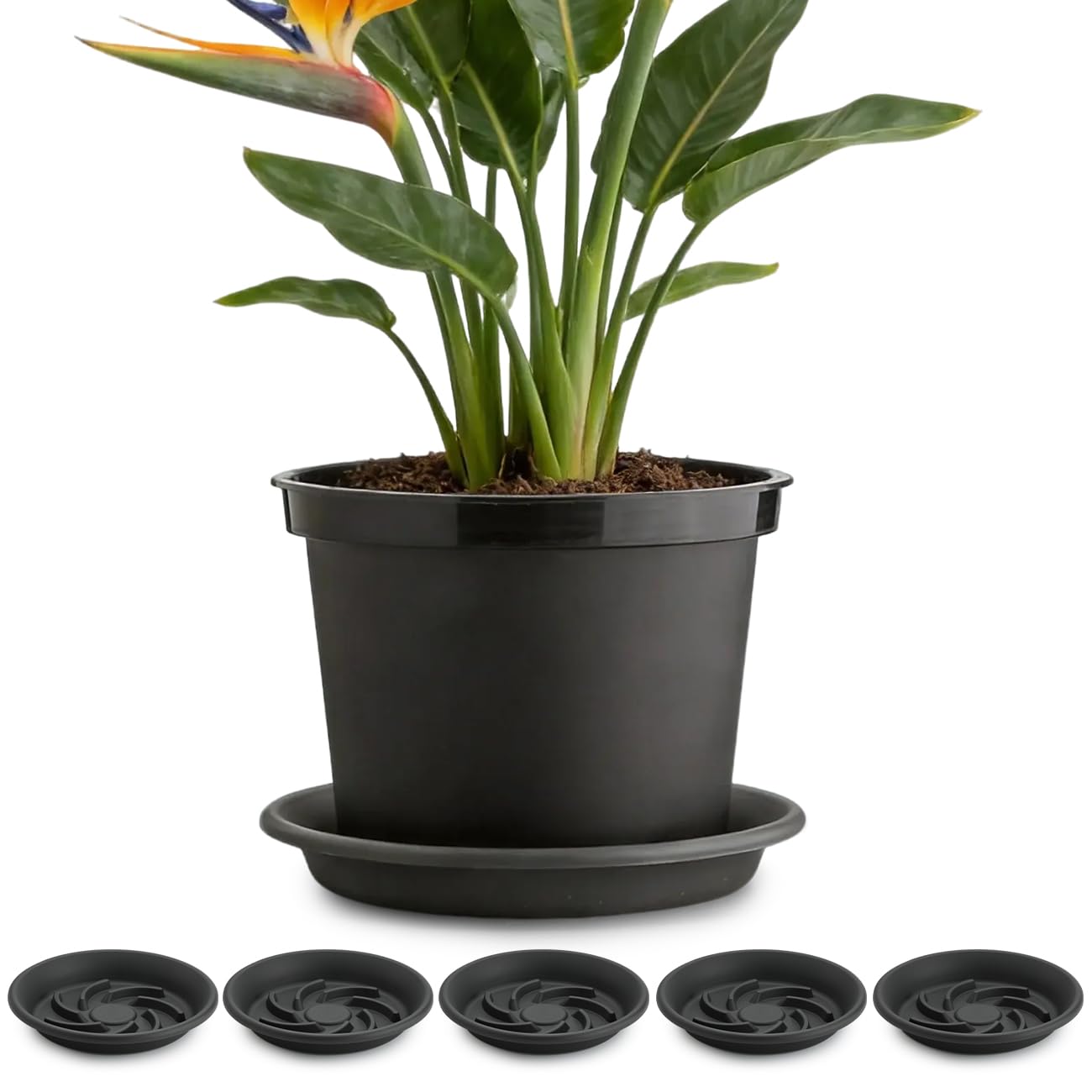 Plant Saucers - 5 Pack, Drip Tray for Pots -8 Plant Saucers - 5 Pack, Drip Tray for Pots -8