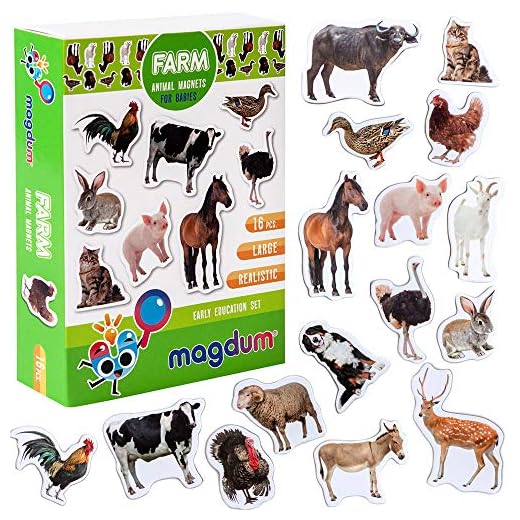 Magdum Granja Imanes Niños 16 Piezas - Animales Imanes Nevera Niños - Juego Imanes - Juegos Magneticos para Niños - Imanes para Niños - Imanes Infantiles - Juguetes Educativos 3 Años