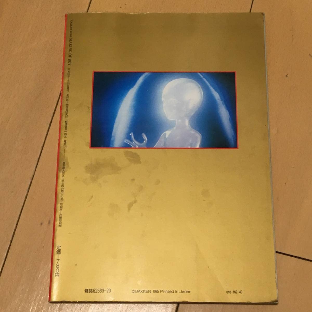 Amazon.co.jp: 写真集 普小11214 菊池桃子 テラ戦士ΨBOY スクリーン