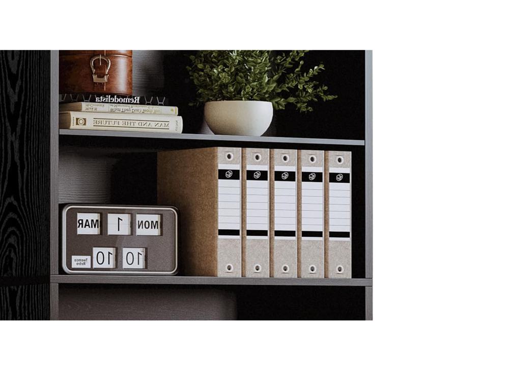 Amazon.com: IRONCK Book Shelf and Bookcase with Leather Doors, 70