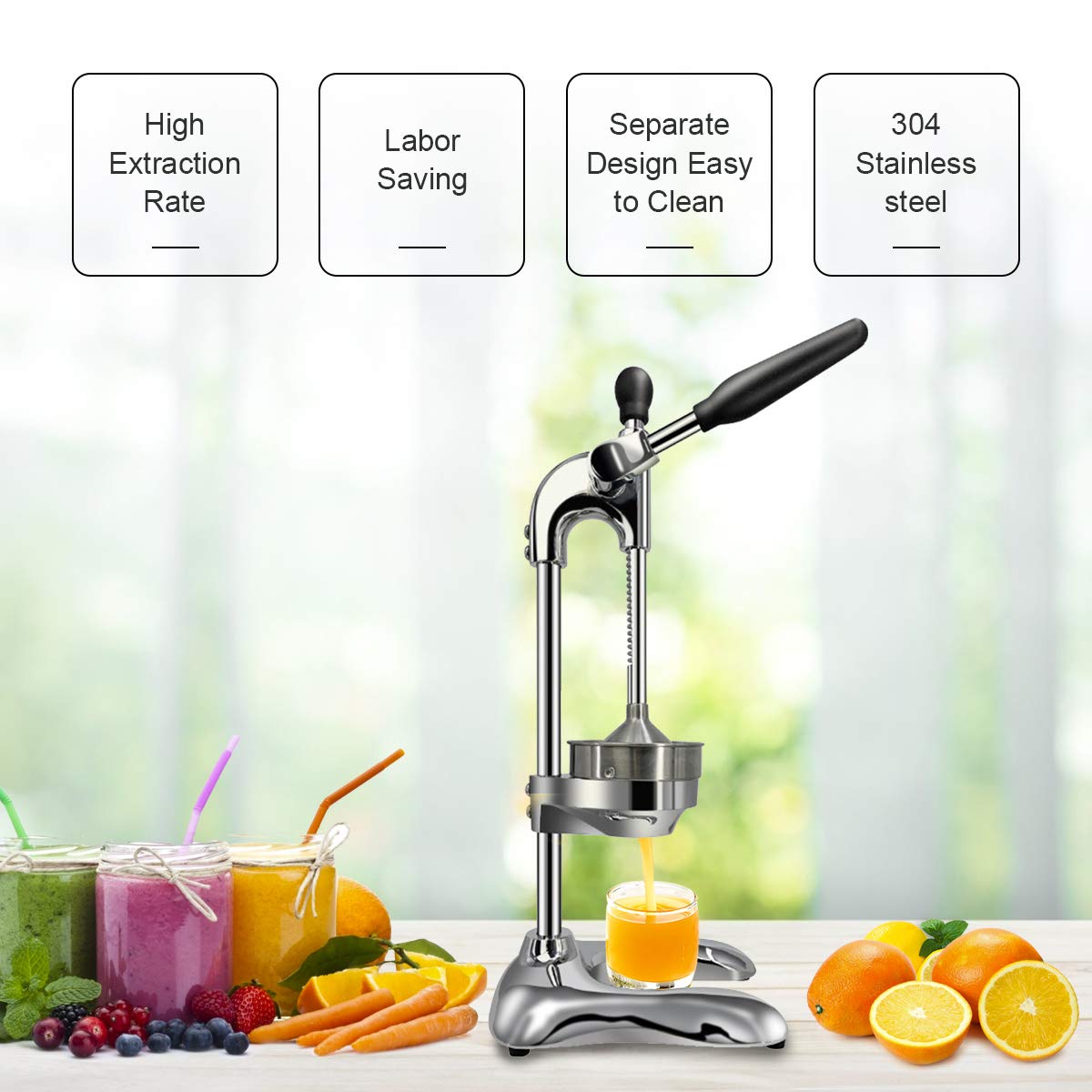 SANTOS 業務用シトラスジューサー 100v Amazon.co.jp: シトラス