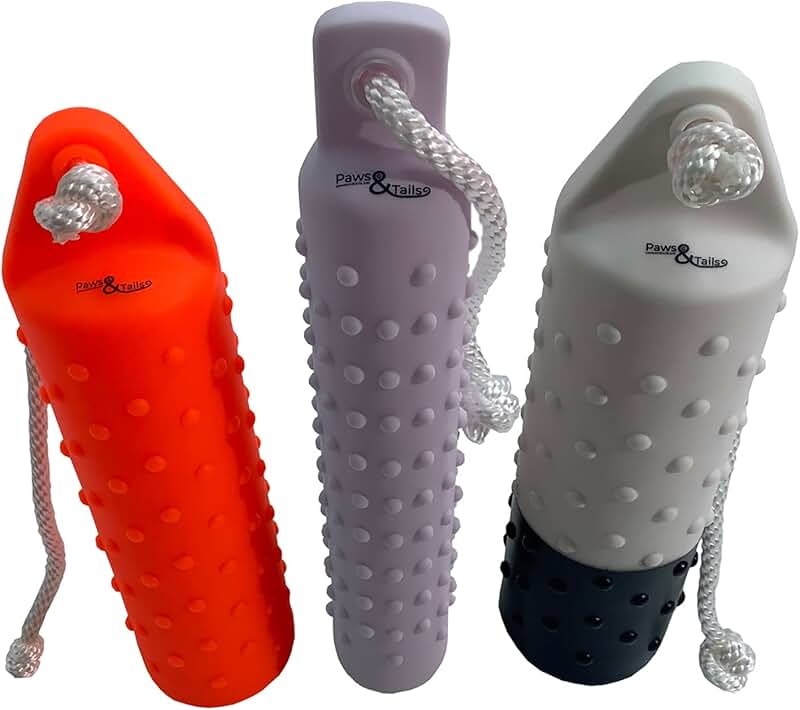 Dog Training Dummies Amazon.co.uk