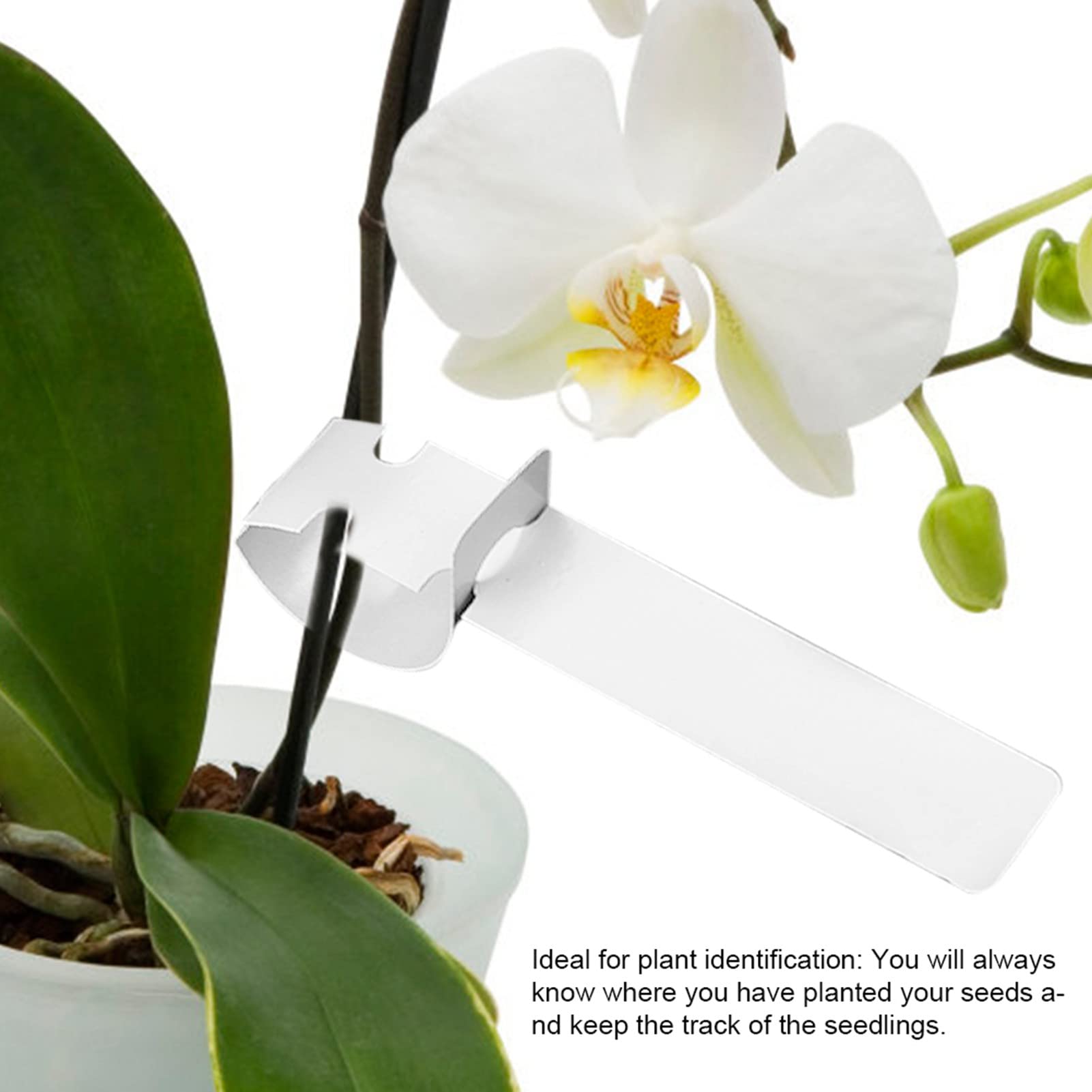 500 Stks Plant Labels Markers, Tuinplanten Tags Plastic Waterdichte Kwekerij Tuinetiketten Markers Plant Stakesmulti Kleuren