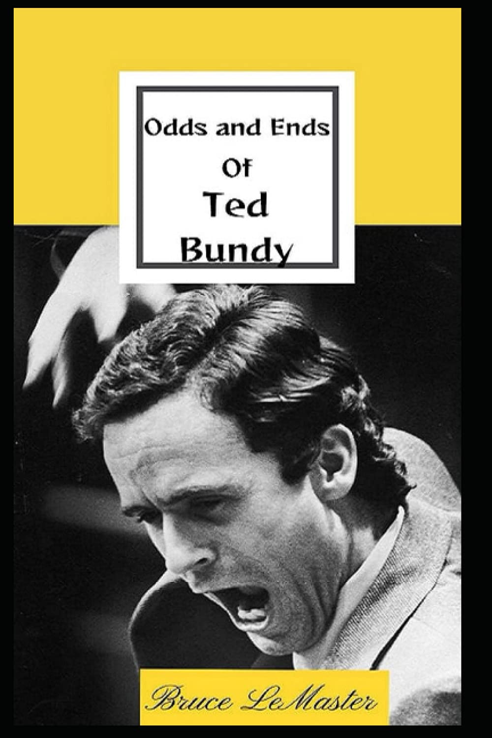 Odd and Ends of Ted Bundy