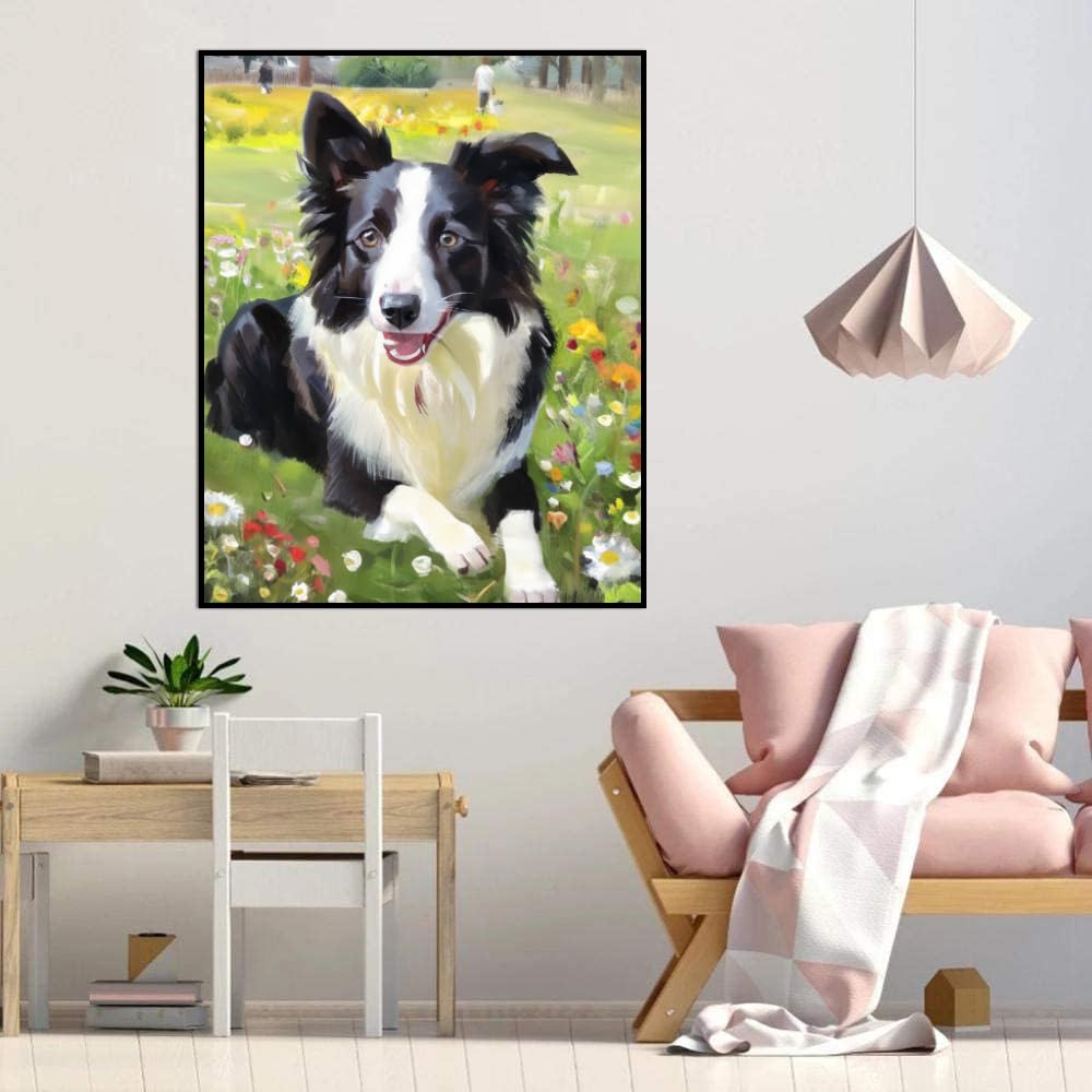 DIY Paint by Numbers Border Collie Dog on Canvas Painting Kits for Adult, Beginner Oil Painting Kits Gift 12x16inch(30x40cm) Frameless