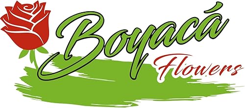 Miniatura 3 de Boyacá flowers, 100 rosas arcoíris de tallo, frescas de granja, tallo largo de 19.7 in, venta al por mayor directa de la granja, flores frescas