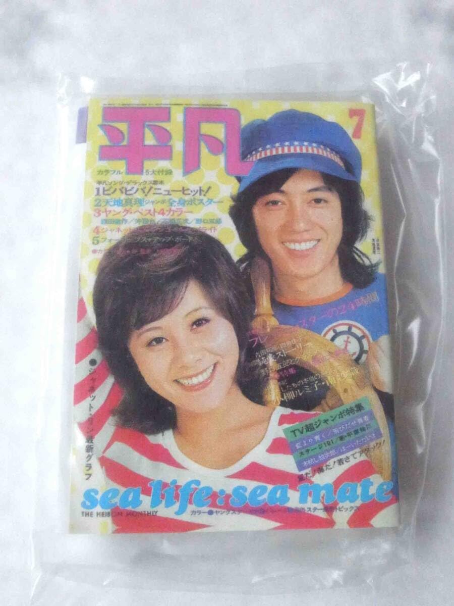 Amazon.co.jp: 平凡 歌本付き 思い出のマガジン タイムスリップグリコ