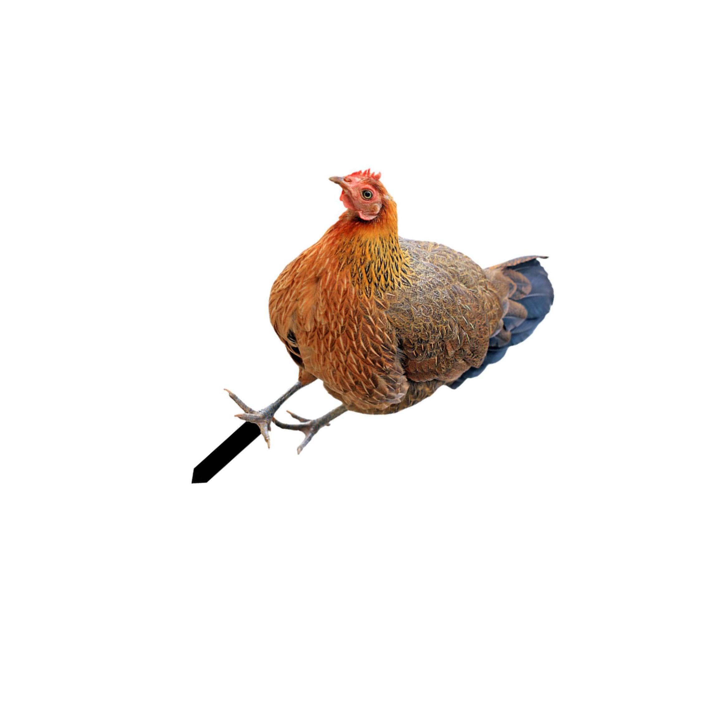 QIXCXAZ Adorable Chicken Sculpture Backyard Decoration Unique Hen Yard Figures Relaxing Outdoor Spaces No Additional Tools Are Required Pathway Lawn Yard, Type B
