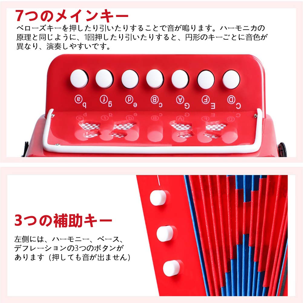 子供用　アコーディオン Amazon.co.jp: TOPINCN 手風琴 初心者/子供用 アコーディオン 専用