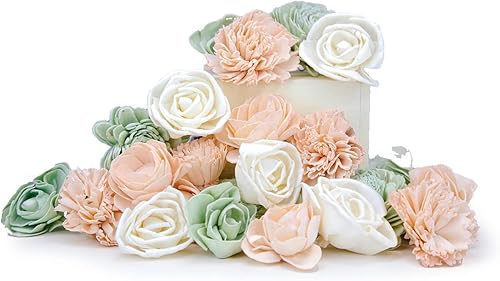 Sola Wood Flowers Surtido de salvia dulce teñida paquete de 25