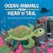 Ocean Animals from Head to Tail