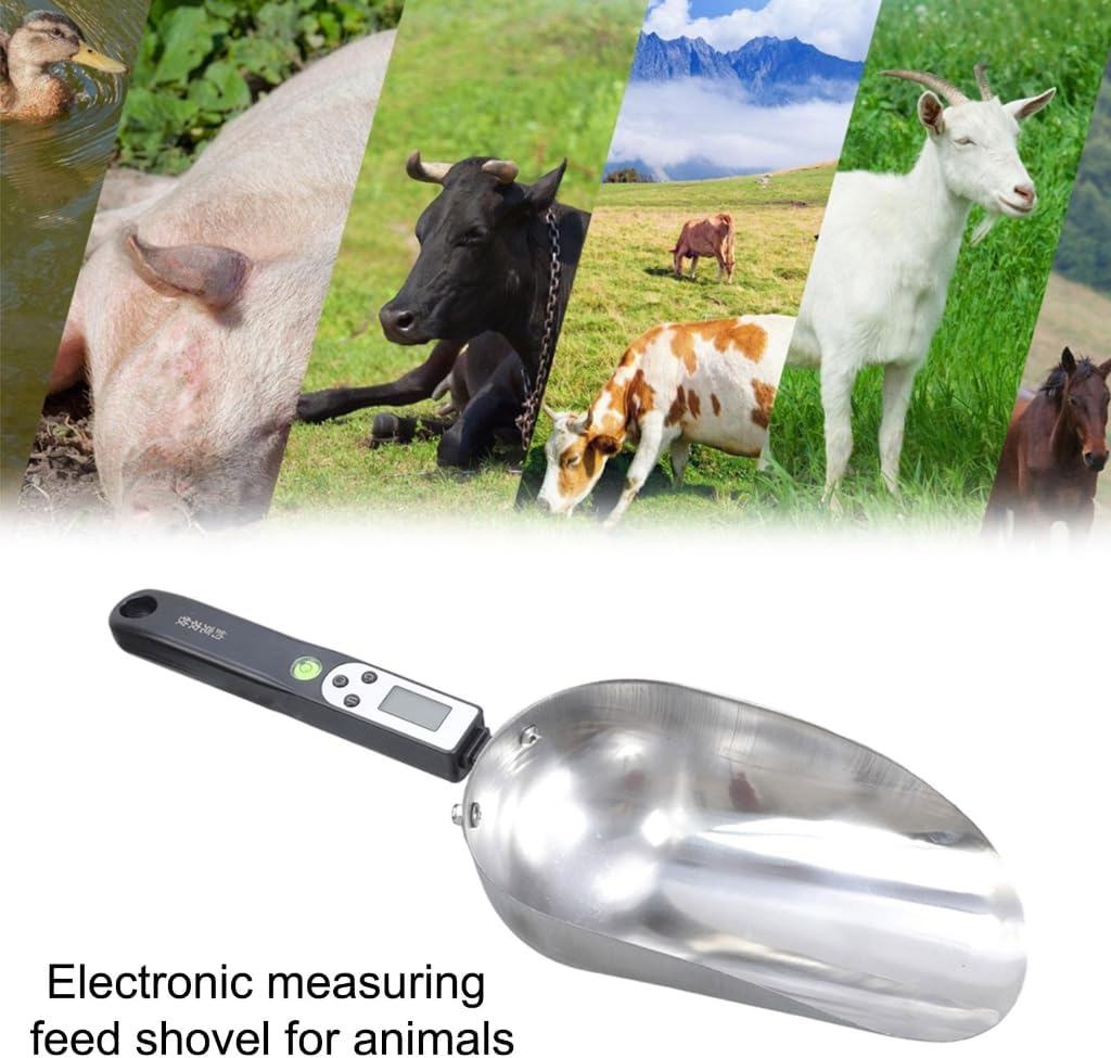 Light Weight Electronic Spoon Durability Stainless Steel Measuring Spoon
