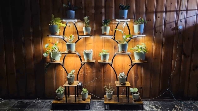 Amazon.com : NEHAJUNXI Plant Stand Indoor with 4 Grow Lights - 63