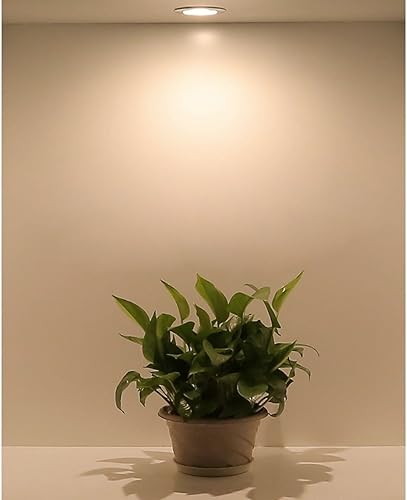 Miniatura 3 de Paquete de 10 mini 3W Mini LED Spot Light Negro Empotrable LED Luz de techo para el armario del hogar