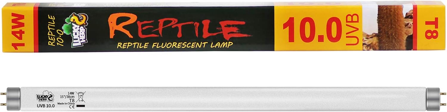 t8 reptile light