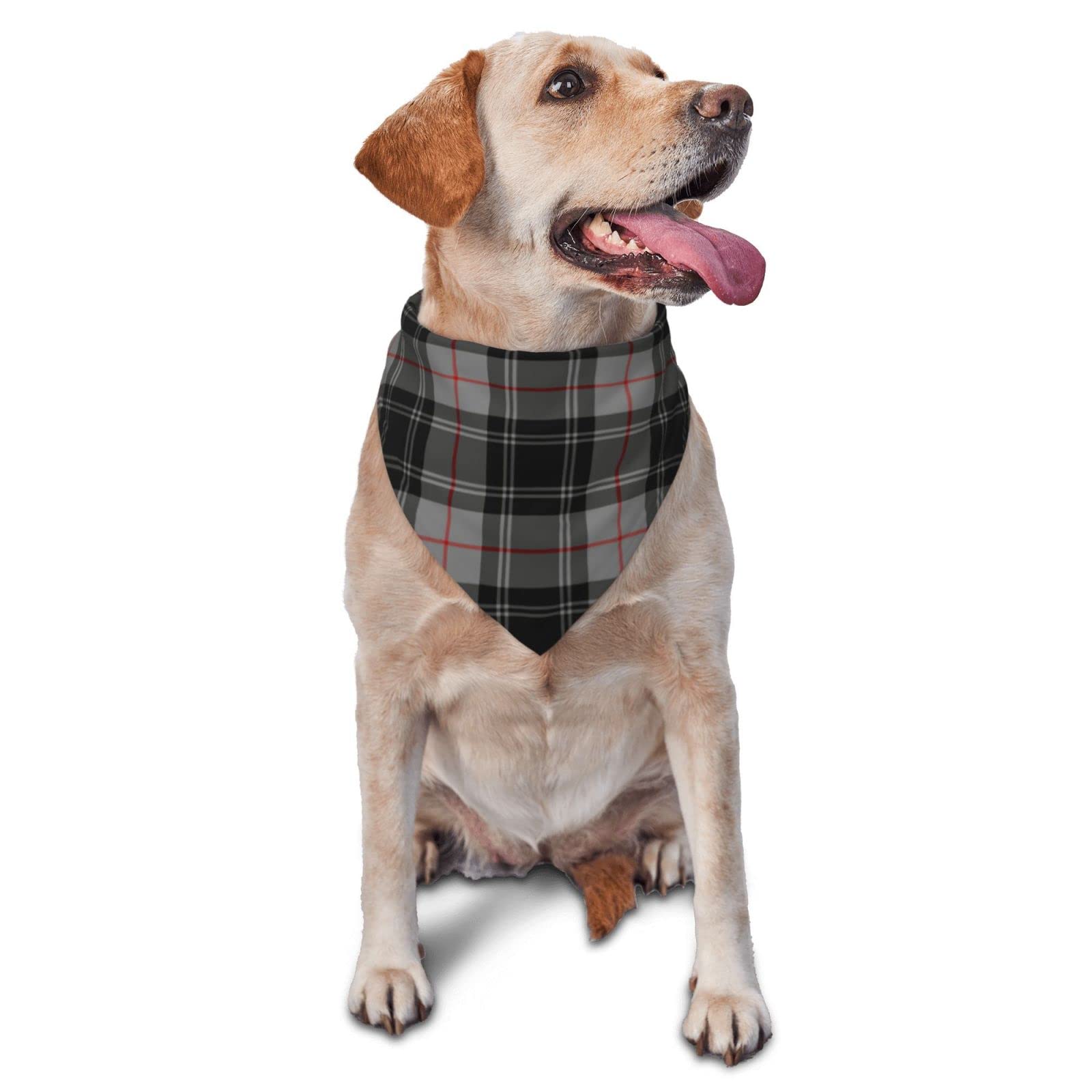 Sipeigyd Pet Triangle Scarf, Clan Moffat Tartan Gray and Black Plaid pet cat and Dog Scarf, Pet Clothing Accessories, Plaid Pet Scarf, for Small to Large Dogs Cats — image 1