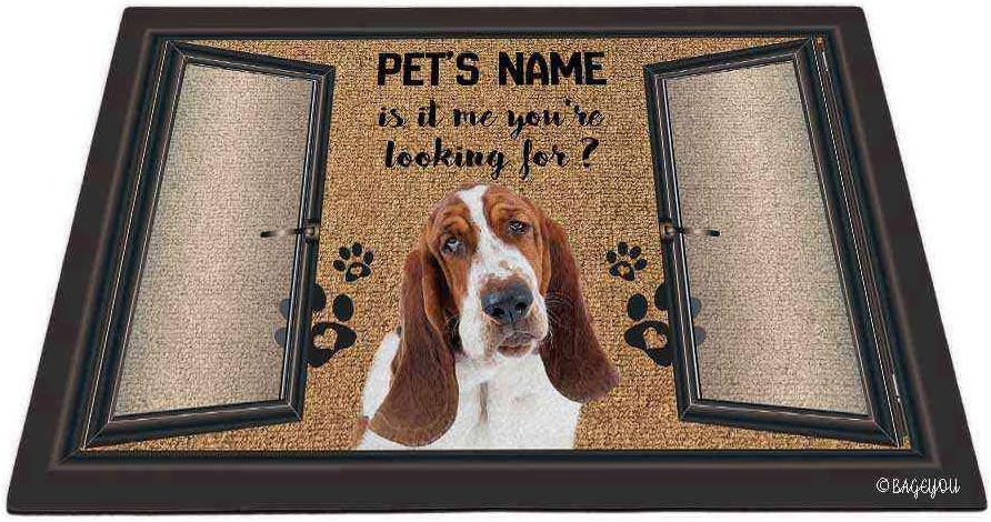 BAGEYOU Funny Basset Hound Doormat is It Me You're Looking for Custom Dog's Name and Text Rug Floor Mat 27.5 x 17.7