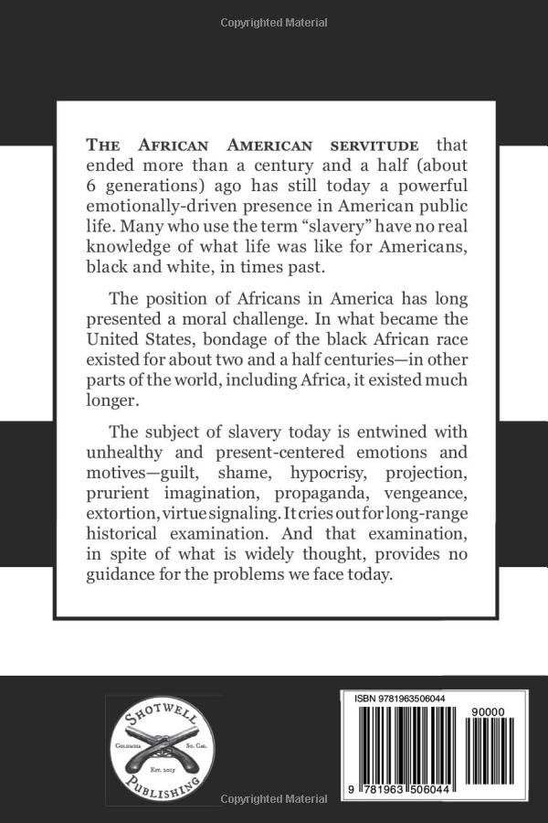 African American Slavery in Historical Perspective - Image 2