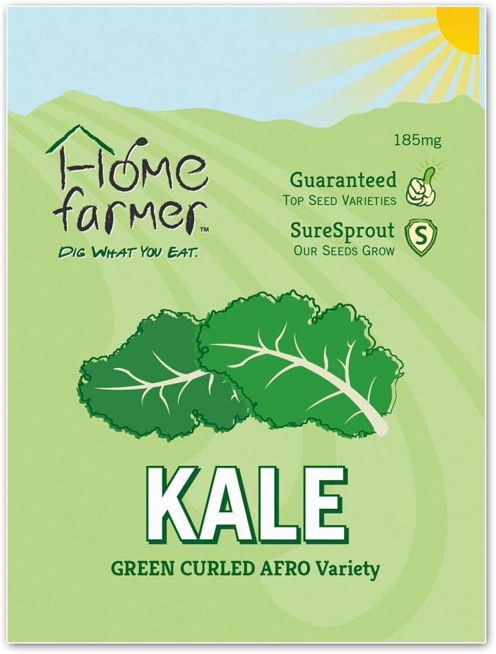 Home Farmer Green Curled Afro Variety Kale Seeds