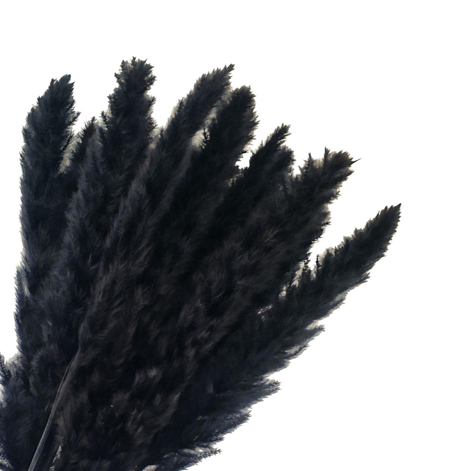 Sztuczne rośliny girlandy kwiaty, 5x 15pcs suszone pampas trawa trzcina trzcinowa bukiet dom domowy ślub boho wystrój domowy parametra