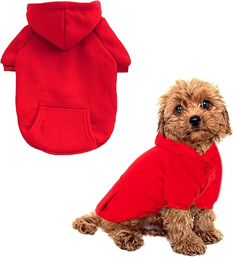 champion dog clothes