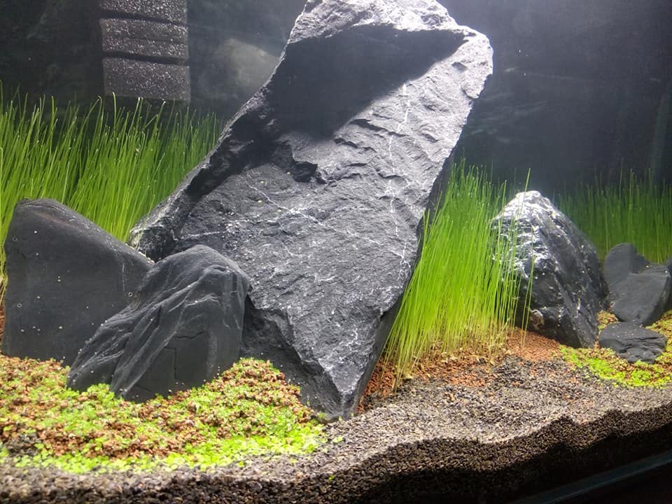 View 7