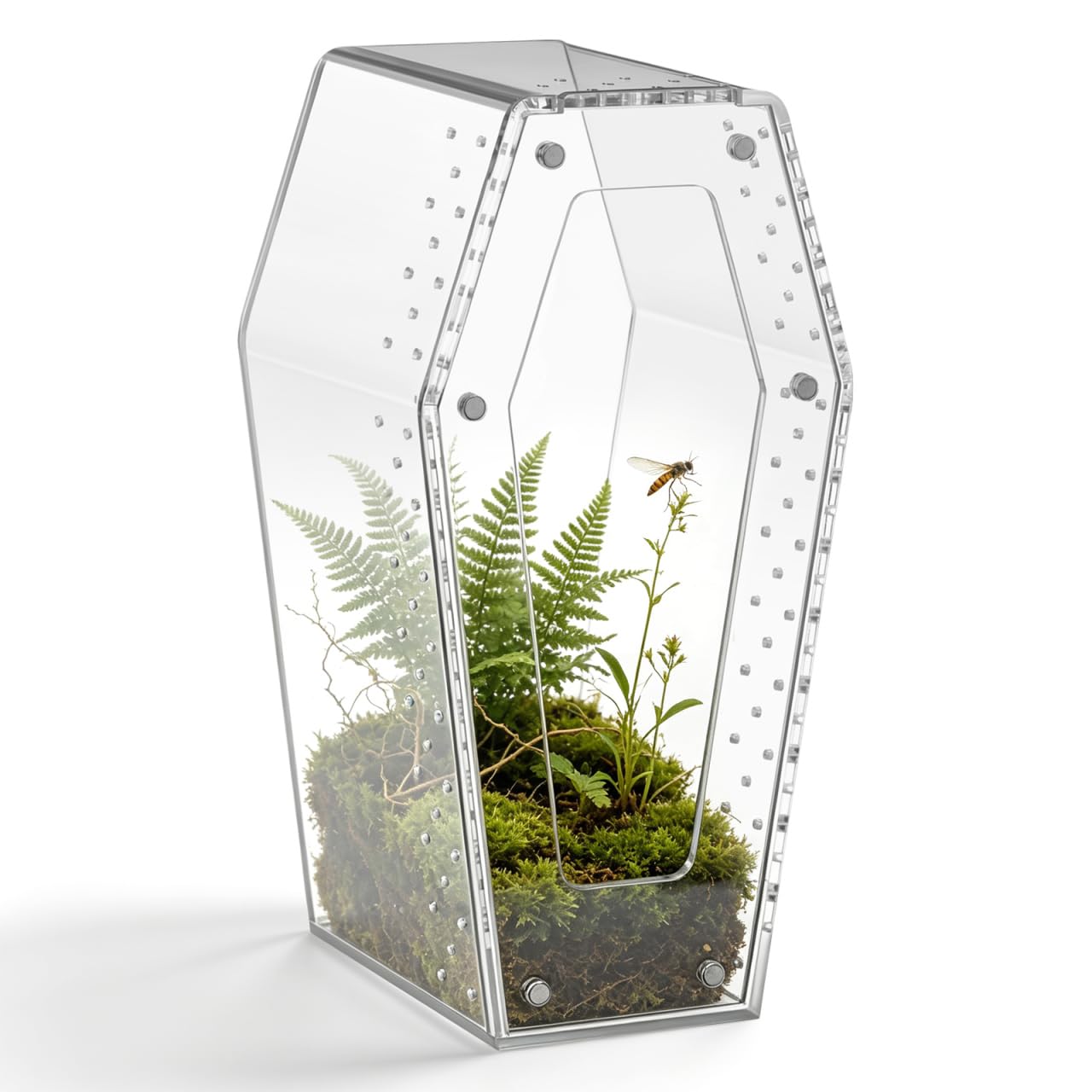 SUPVOX Acrylic Spider Enclosure Transparent Reptile Feeding Box Small Pet Breeding Box for Jumping Spiders Snails and Geckos Secure Desktop Terrarium 7.87 X 3.94 X 3.94 in