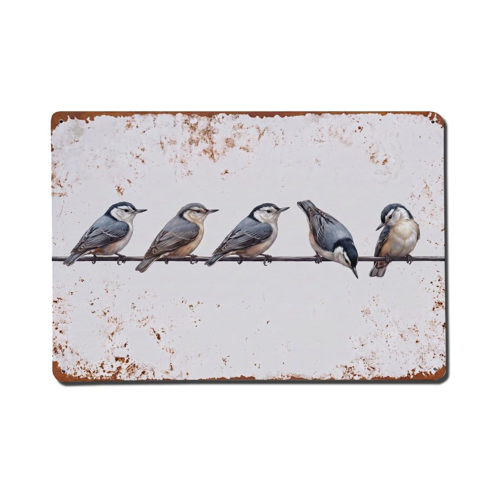Vintage Retro Birds White-breasted Nuthatch Metal Tin Sign