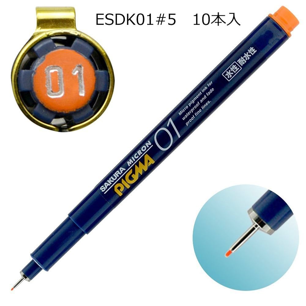 ピグマ1年生　6月〜1月 ピグマ1年生6月〜1月