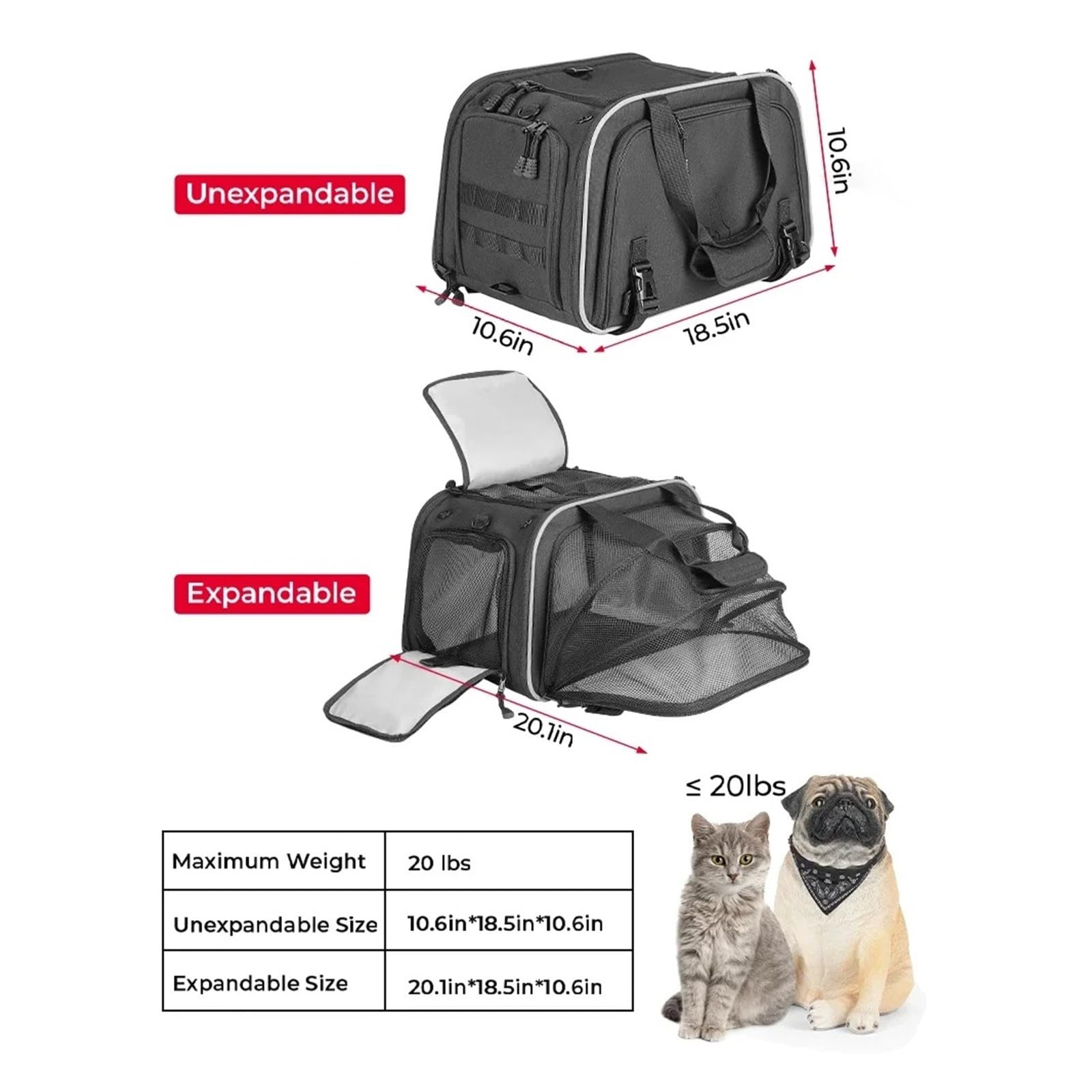 Sac de moto pour animaux domestiques, sac de transport pour chiens et chats, portable, de voyage, porte-bagages et siège passager