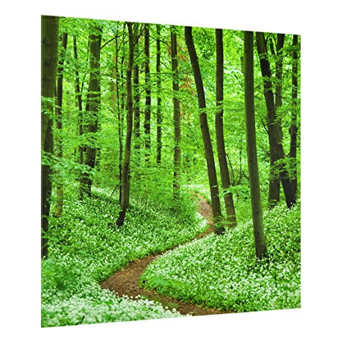 Spritzschutz Glas - Romantischer Waldweg - Quadrat 1:1 59cm x 60cm