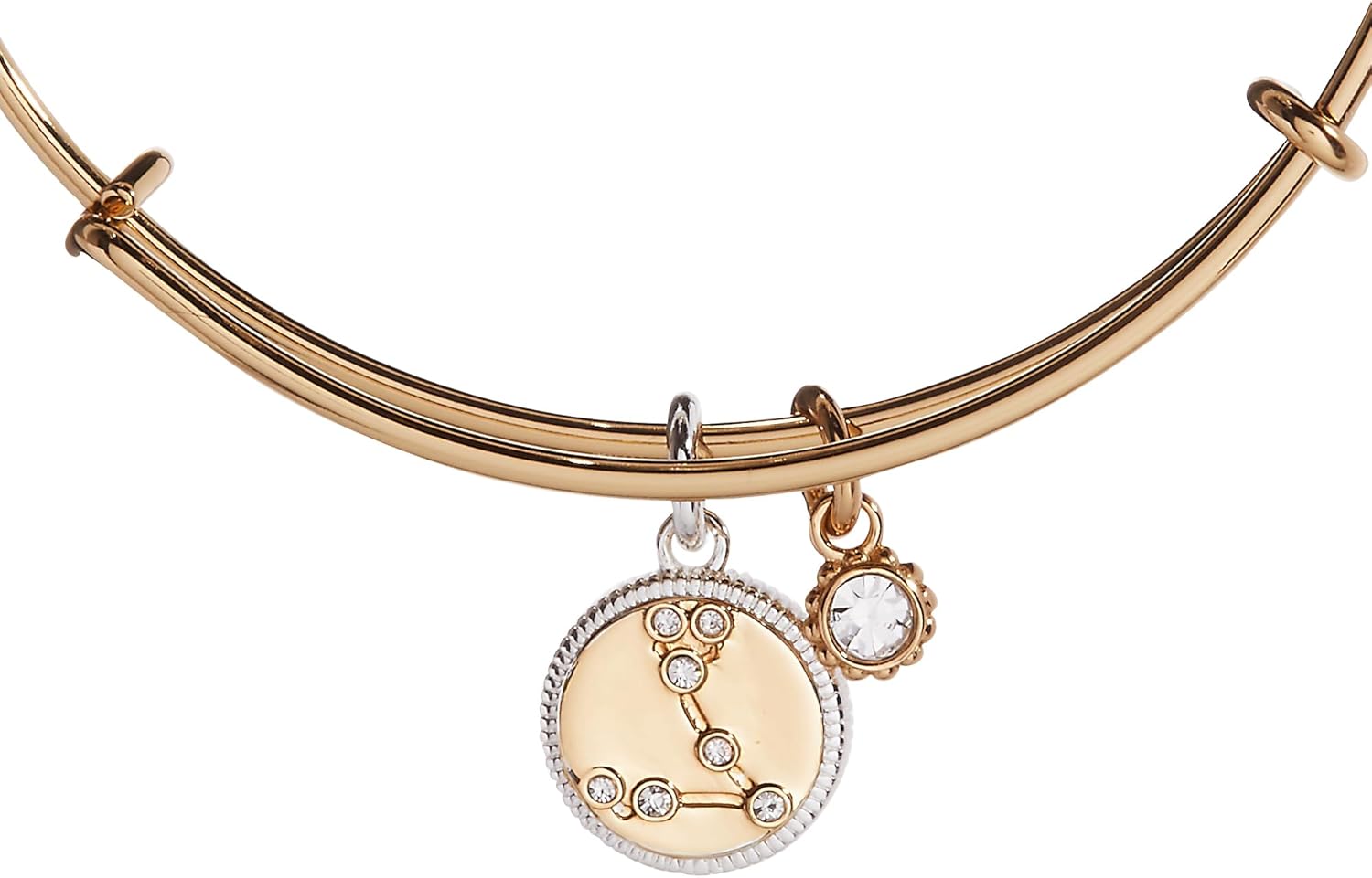 Alex and Ani Sagittarius Zodiac Charm Bangle