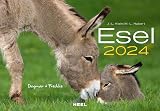  Esel Kalender 2024: Der Tierkalender mit den charmanten Namen