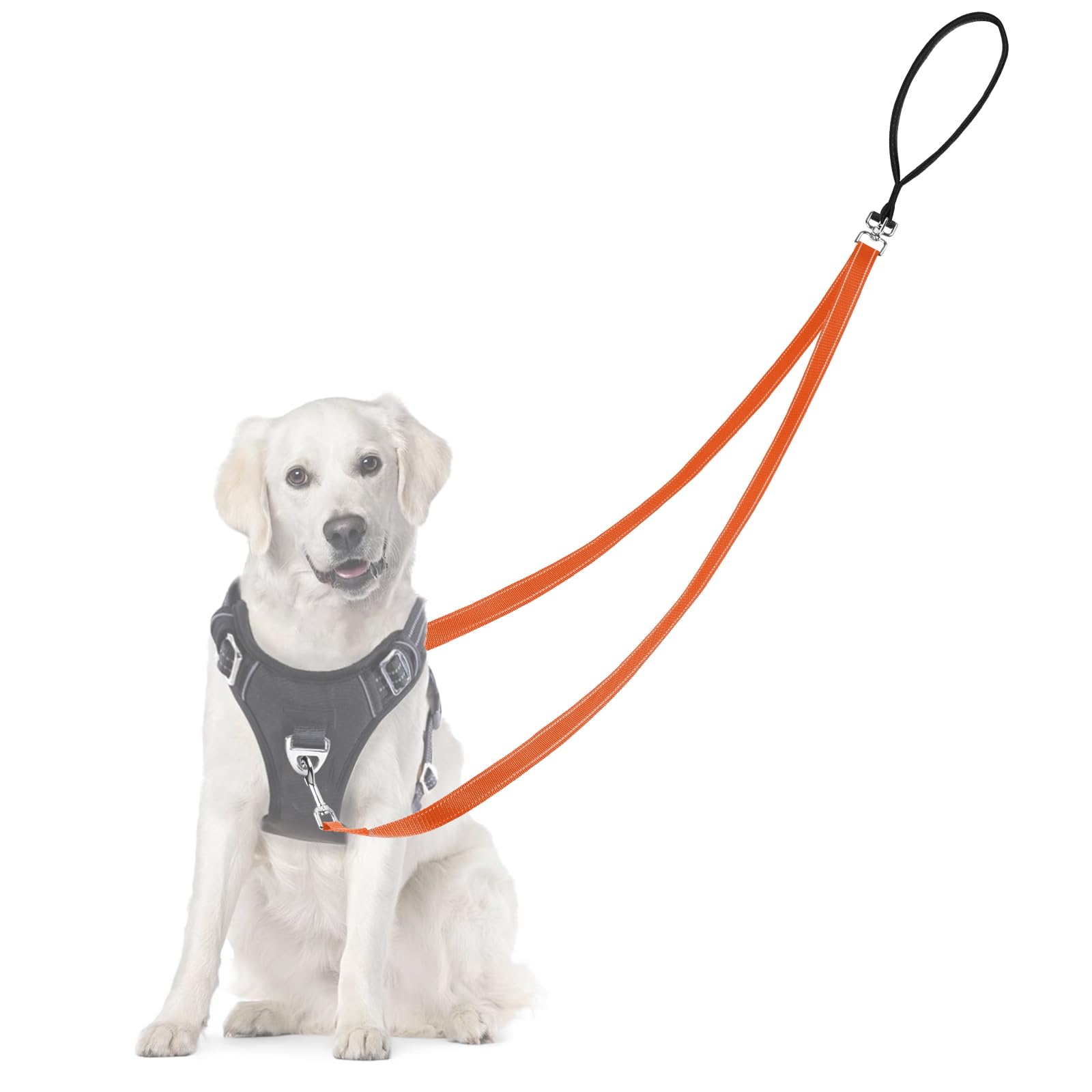 Adiwo Two Point Control Dog Leash, Professional Anti-Pull Dog Lead with Reflective Stitching and Soft Padded, Works with No Pull Harnesses,Easy to Convert to Single Lead for Small Medium Dogs (Orange)