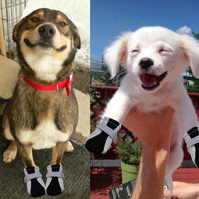 Foto 4 de 5 de XFSRG Zapatos Perro con Malla Transpirable Correas Reflectantes Resistente al Desgaste de Protector Patas…