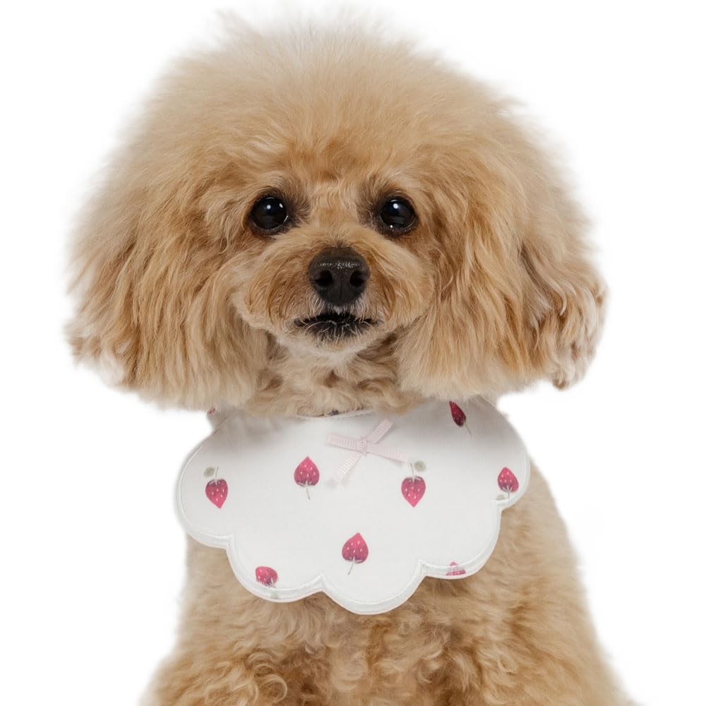 ペットパラダイス 3S 女の子　新品タグ付き含むまとめ売り　16着 Amazon.co.jp: ペットパラダイス: 3S（～3kg）