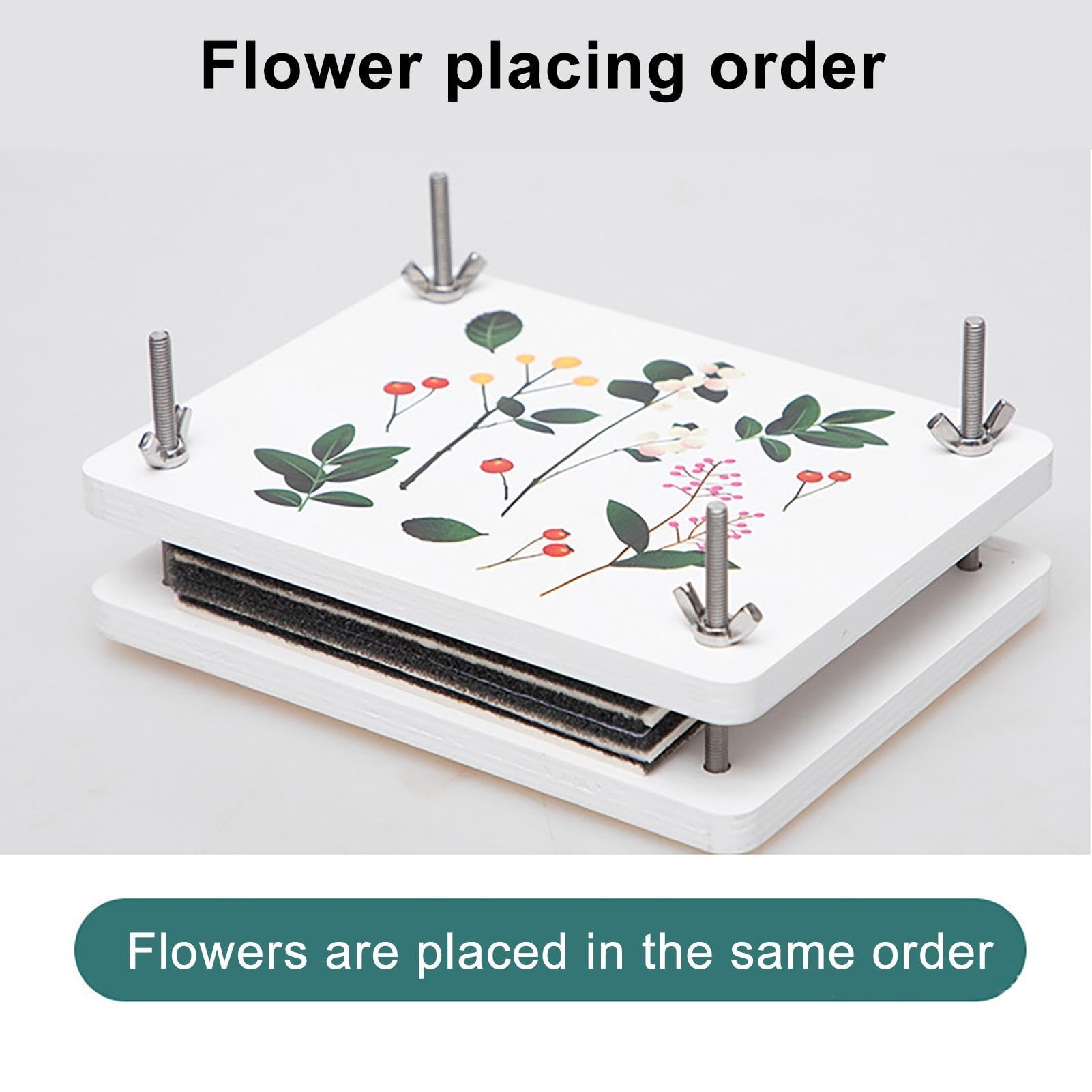 Grote Bloemenpersset – 25x25 Cm, 10 Lagen, Massief Hout Met Maanbloemgravure, Inclusief Gereedschap, Voor Scrapbooking En Kunst