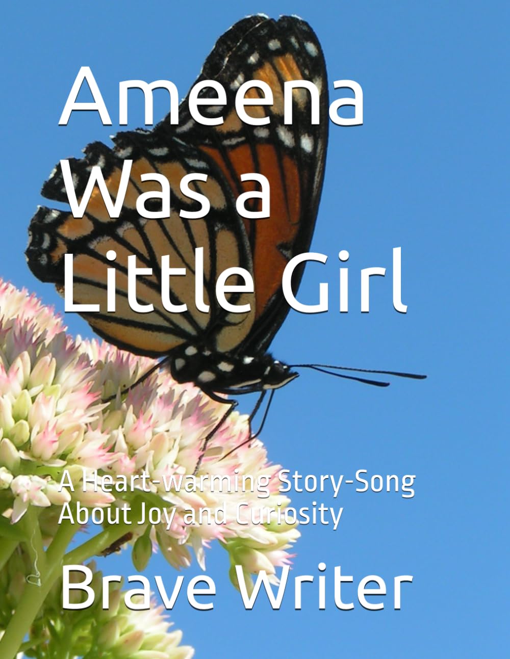Ameena Was a Little Girl: A Heart-warming Story-Song About Joy and Curiosity