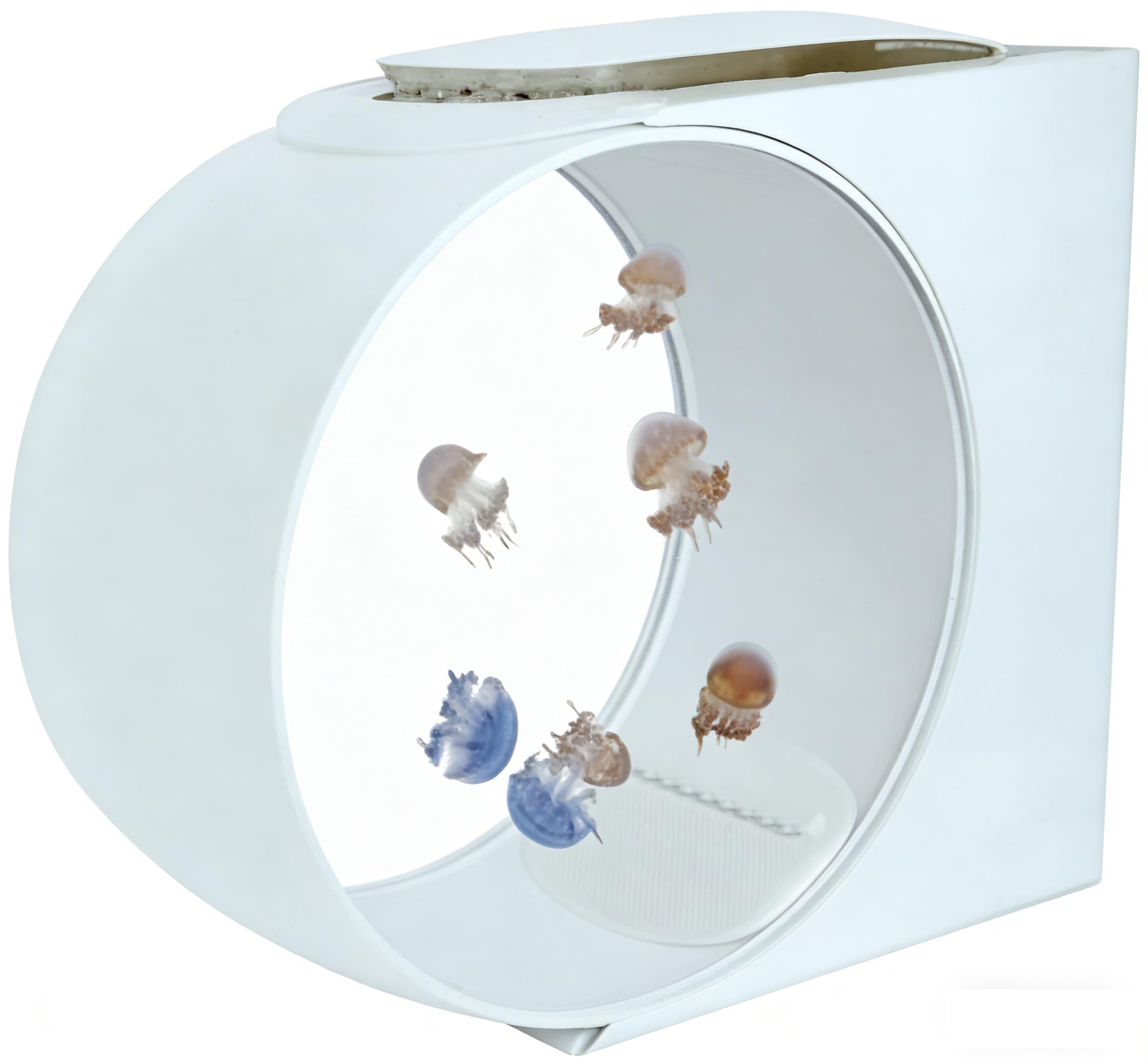 Jellyfish Aquarium Tank with LED Lights - 10L Capacity, 9 Color Modes, Ultra Quiet USB Pump, for Moon Jellyfish, Betta Fish, Desk Office Home Decor (White, 35x31x12cm)