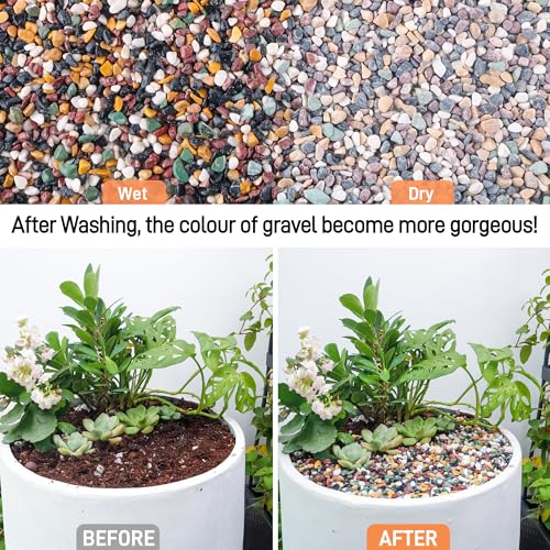 Image of CJGQ 18lb Aquarium Gravel for Plants, 1 /4Inch Fish Tank Gravel for Succulent Cactus and Bonsai, Decorative River Rocks Pebbles for Gardening, Flower Pots, Landscaping,Terrarium