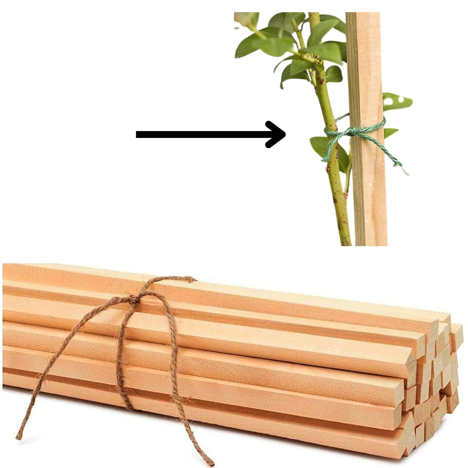 Urban Vogue 3 Ft (91cm) Wooden Support Sticks for Plants, Brown Teak Wood, 12pcs