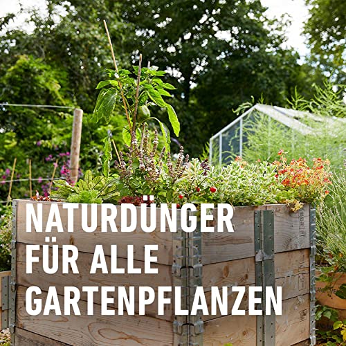 Compo Horn- und Knochenmehl 2,5 kg